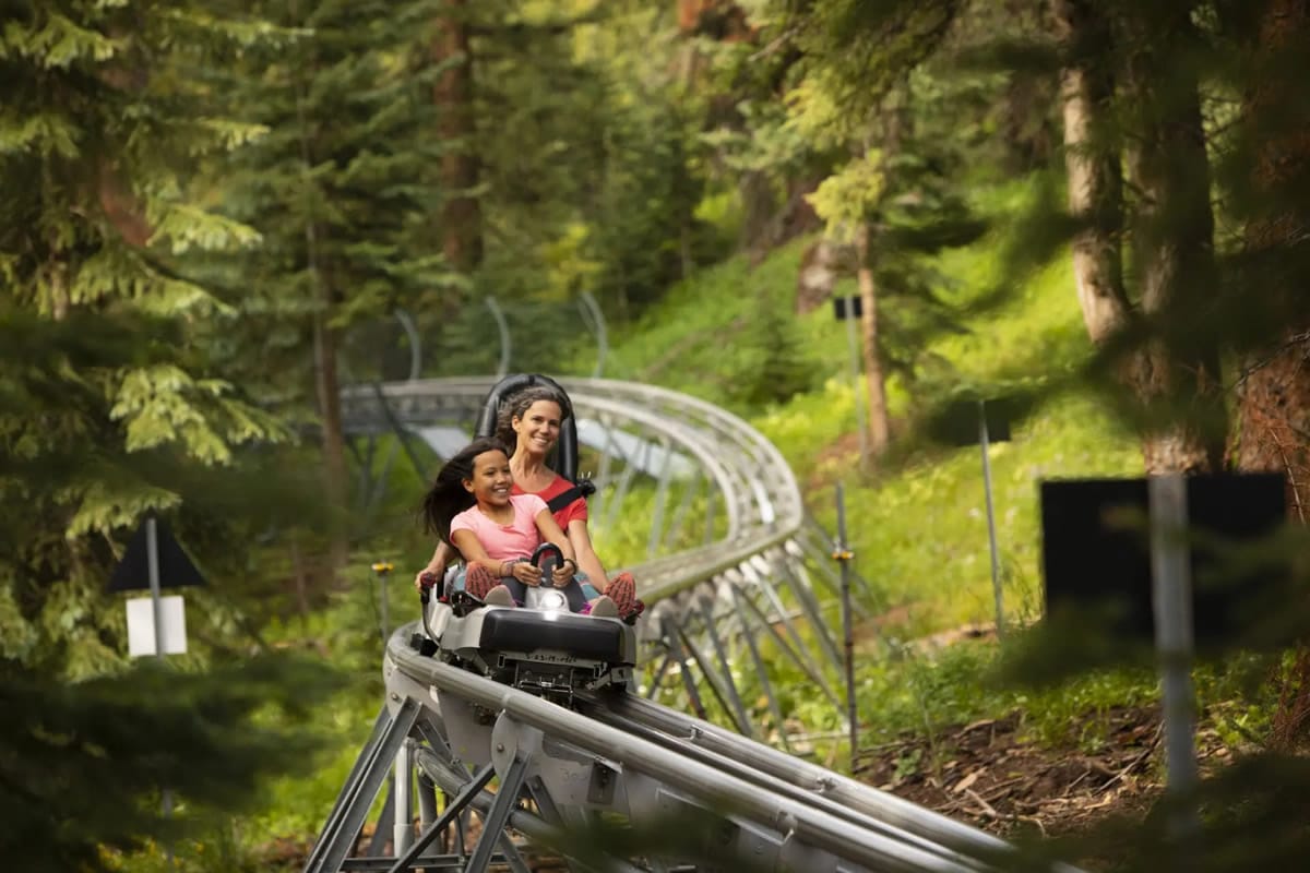 Breathtaker Alpine Coaster