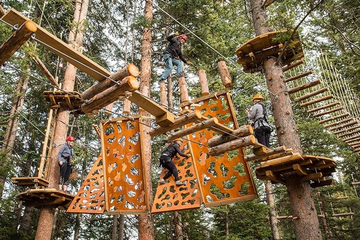 The Lost Forest at Snowmass | Colorado's Ultimate Mountain Adventure Park for the Whole Family