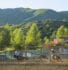The Snowmass Rodeo | Experience Colorado's Longest-Running Rodeo Tradition